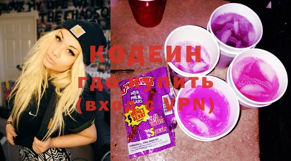 индика Арсеньев
