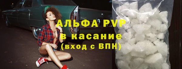индика Арсеньев