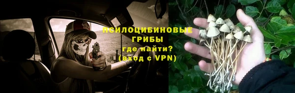 индика Арсеньев