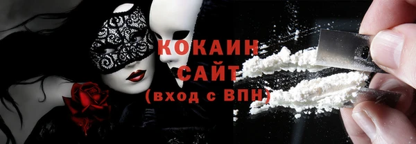 индика Арсеньев
