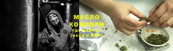 индика Арсеньев