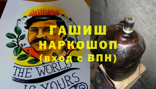 индика Арсеньев