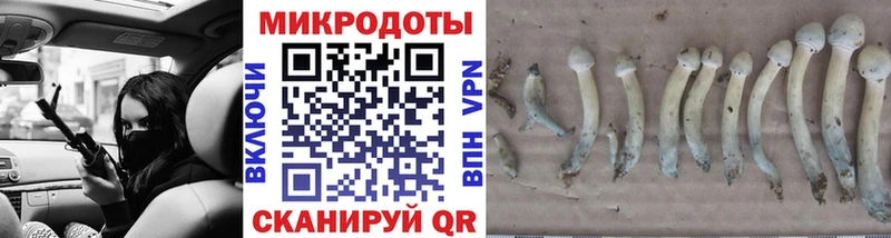 Галлюциногенные грибы ЛСД Луза