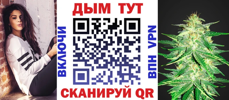 блэк спрут ссылка Луза Бошки Шишки ГИДРОПОН